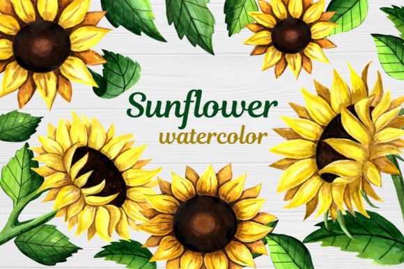 Sunflower Clipart Watercolor for Crafts Projects