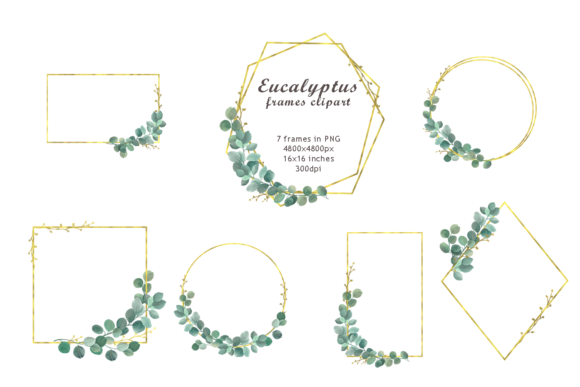 Watercolor Eucalyptus Frames Clipart for Decorative Design Projects