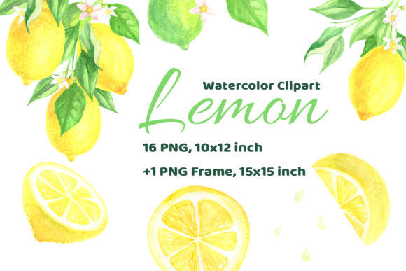 Watercolor Lemon Citrus Fruit Hand Drawn: A Vibrant Addition to Decorative Elements